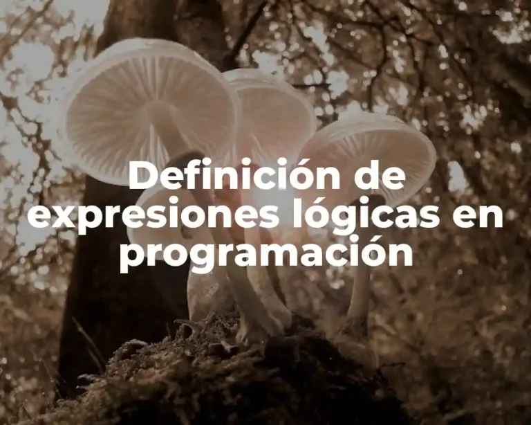 Definición de expresiones lógicas en programación