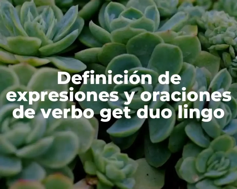 Definición de expresiones y oraciones de verbo get duo lingo
