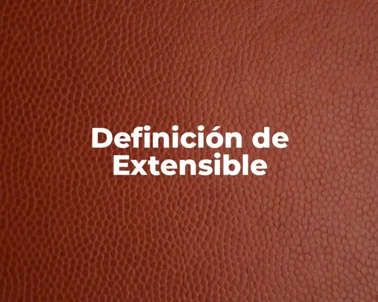 Definición de Extensible