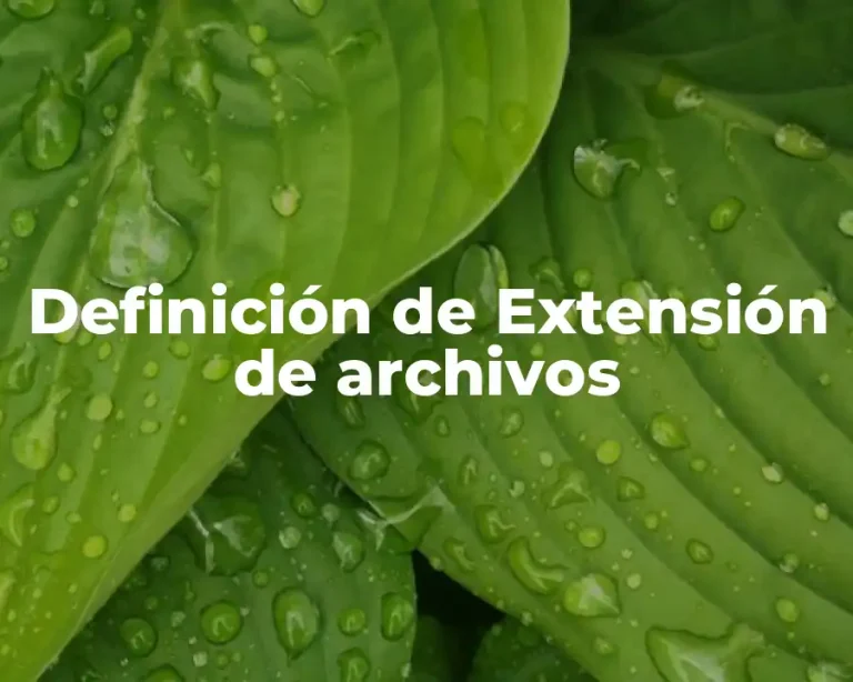 Definición de Extensión de archivos
