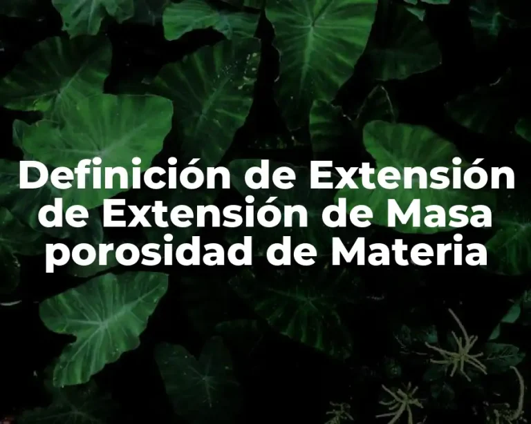 Definición de Extensión de Extensión de Masa porosidad de Materia