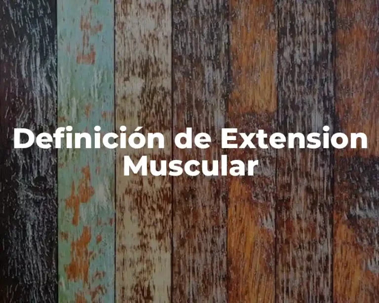 Definición de Extension Muscular