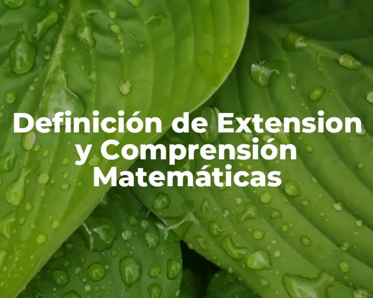 Definición de Extension y Comprensión Matemáticas