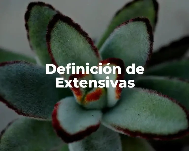 Definición de Extensivas