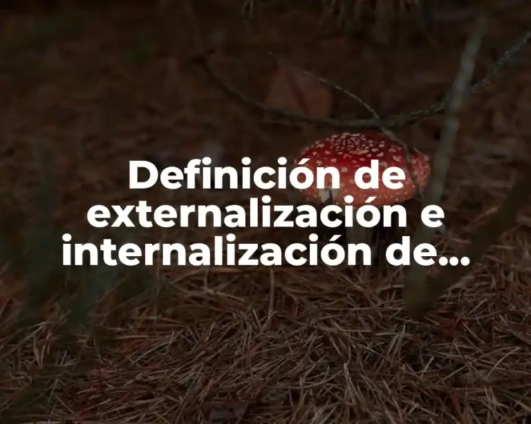 Definición de externalización e internalización de costos