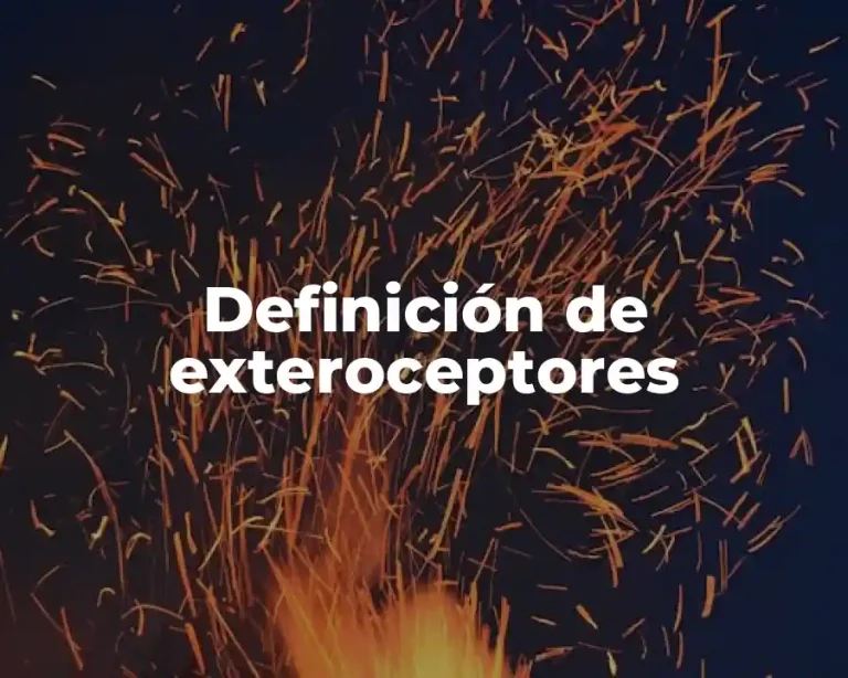 Definición de exteroceptores