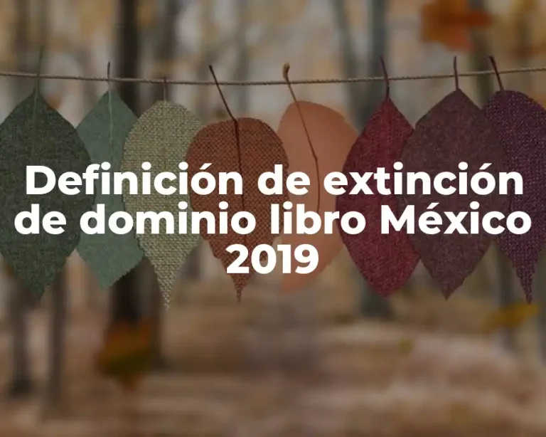 Definición de extinción de dominio libro México 2019
