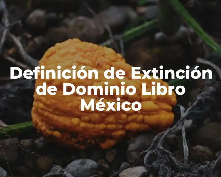 Definición de Extinción de Dominio Libro México