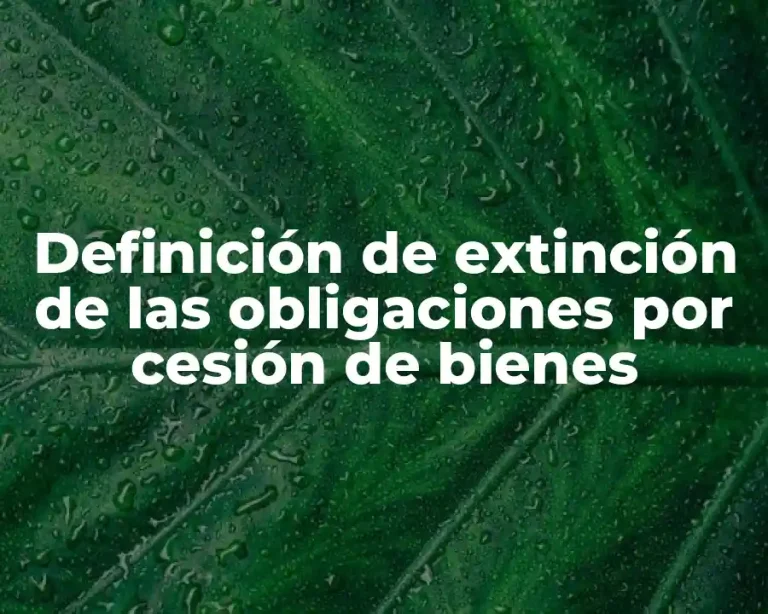 Definición de extinción de las obligaciones por cesión de bienes
