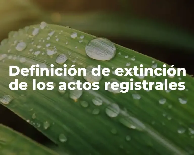 Definición de extinción de los actos registrales