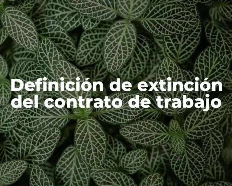 Definición de extinción del contrato de trabajo