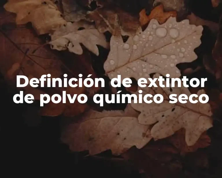 Definición de extintor de polvo químico seco
