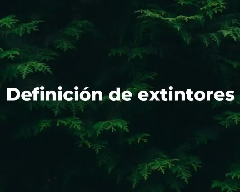 Definición de extintores