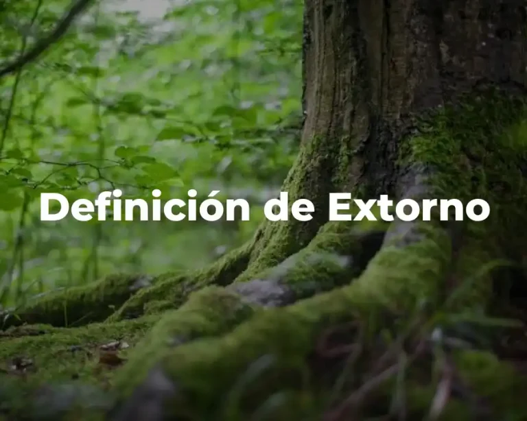 Definición de Extorno