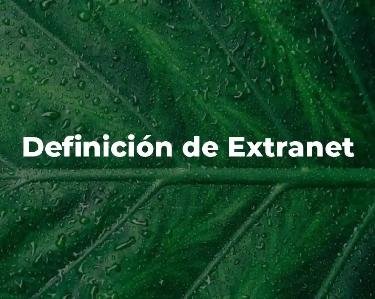 Definición de Extranet