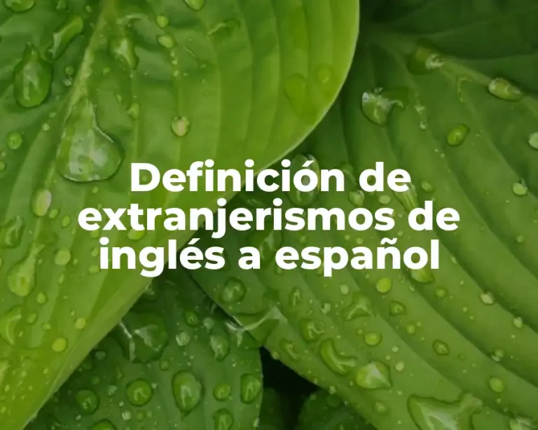 Definición de extranjerismos de inglés a español