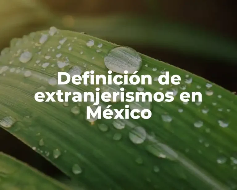 Definición de extranjerismos en México