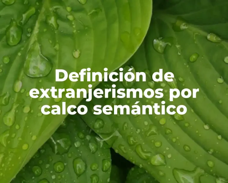 Definición de extranjerismos por calco semántico