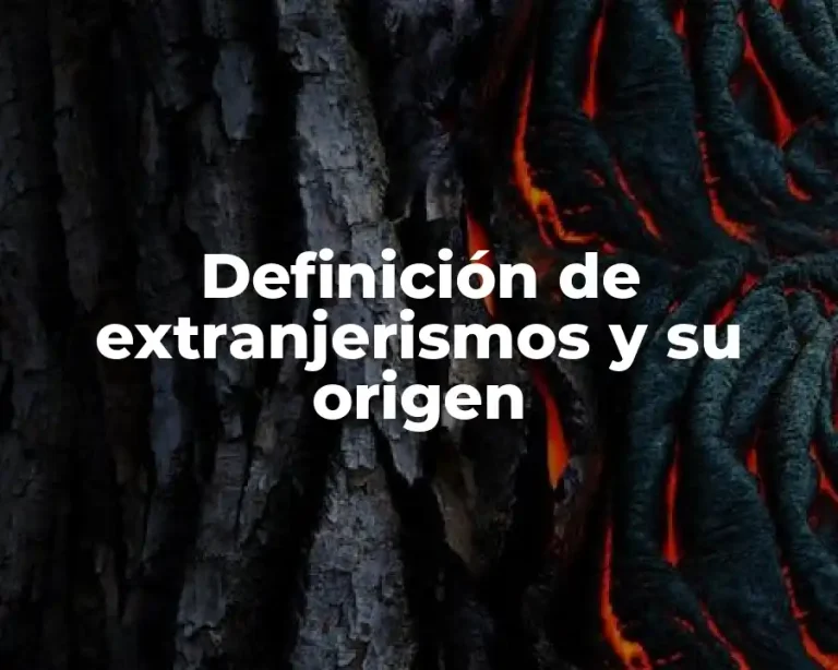 Definición de extranjerismos y su origen