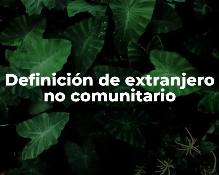 Definición de extranjero no comunitario