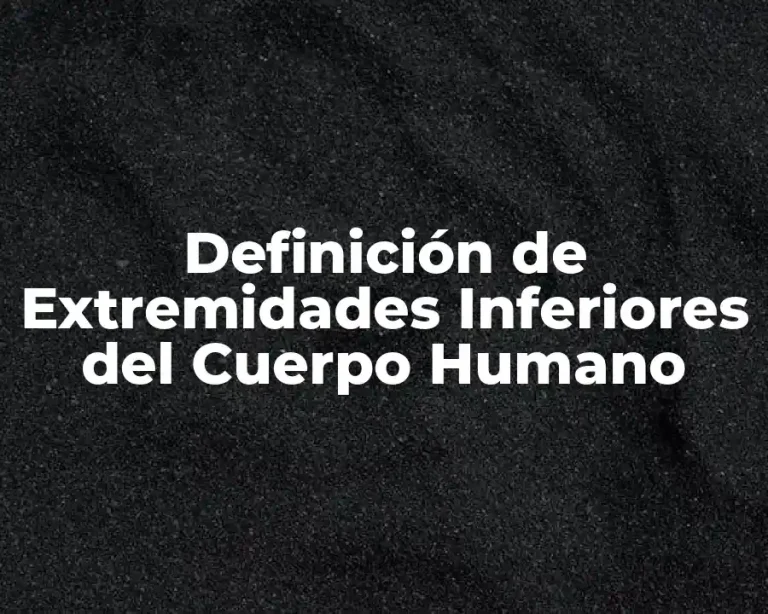 Definición de Extremidades Inferiores del Cuerpo Humano