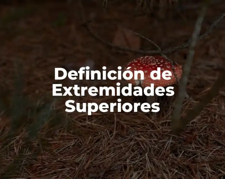 Definición de Extremidades Superiores