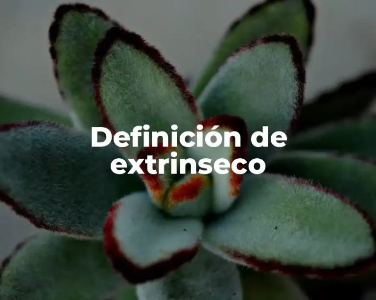 Definición de extrinseco