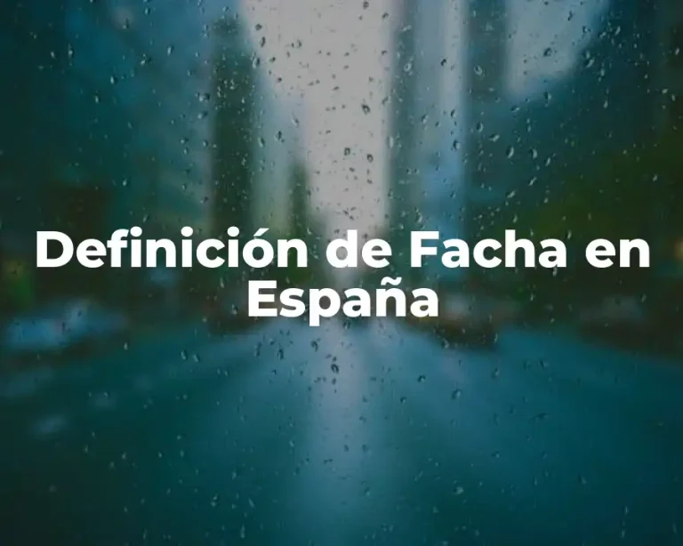 Definición de Facha en España