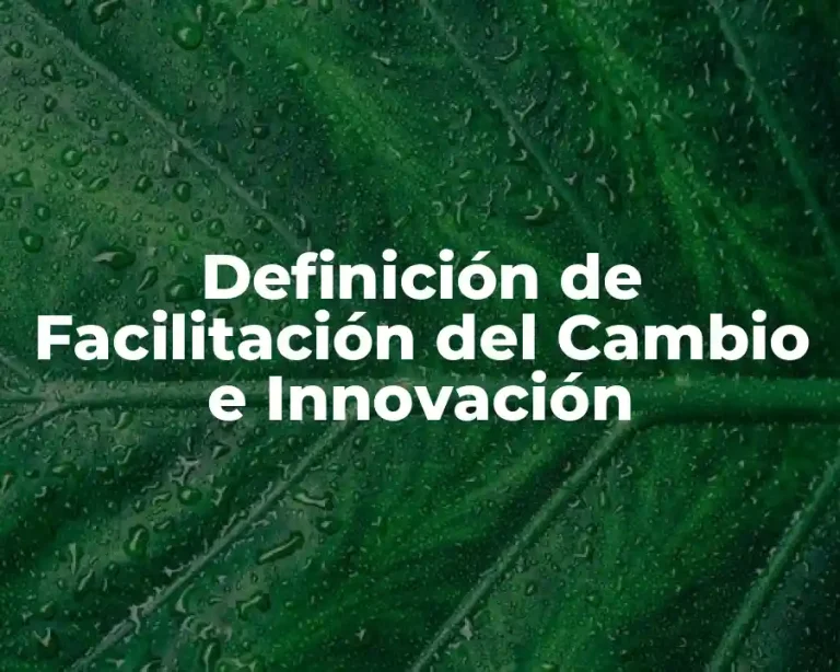 Definición de Facilitación del Cambio e Innovación