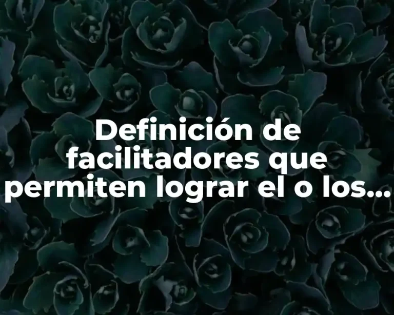 Definición de facilitadores que permiten lograr el o los objetivos