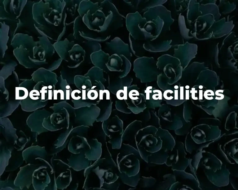 Definición de facilities
