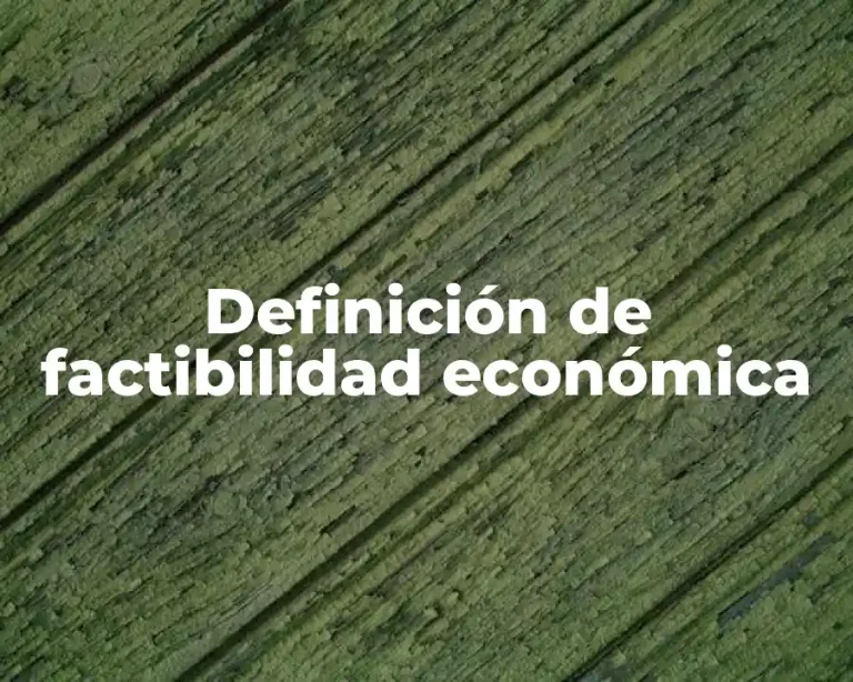 Definición de factibilidad económica