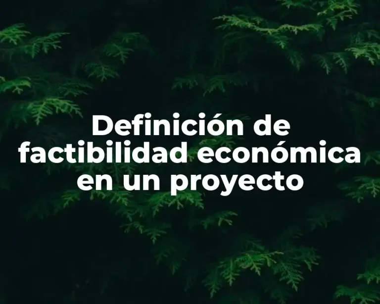 Definición de factibilidad económica en un proyecto