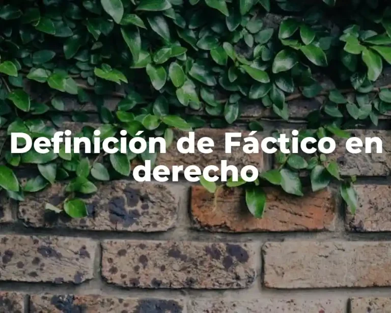Definición de Fáctico en derecho