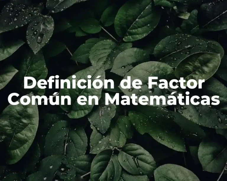 Definición de Factor Común en Matemáticas