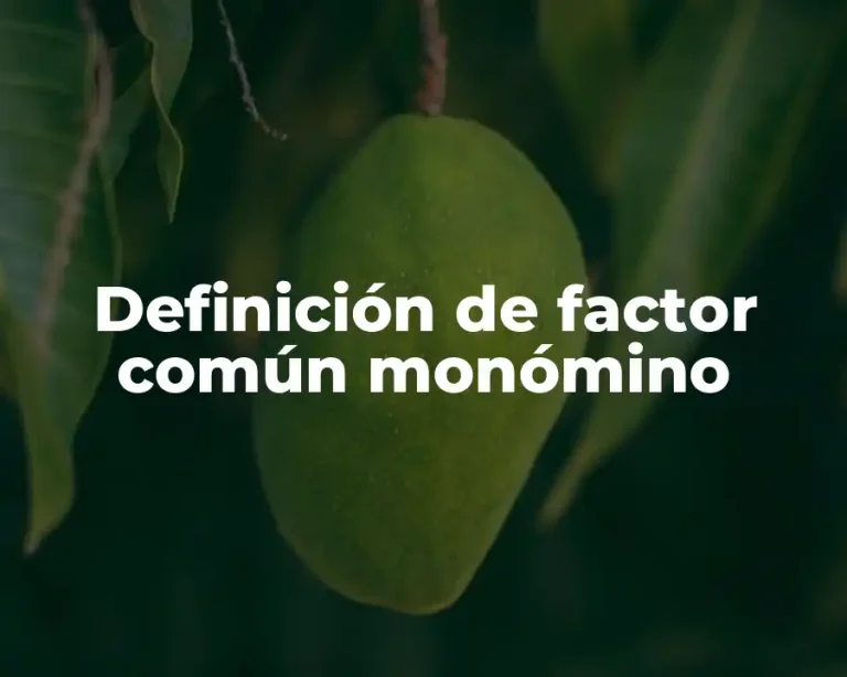 Definición de factor común monómino