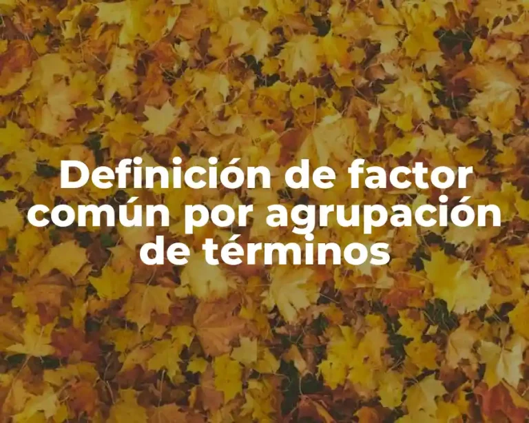 Definición de factor común por agrupación de términos