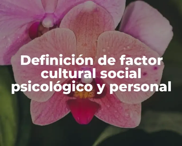 Definición de factor cultural social psicológico y personal