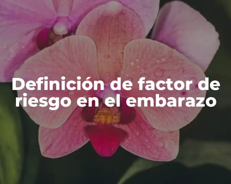 Definición de factor de riesgo en el embarazo