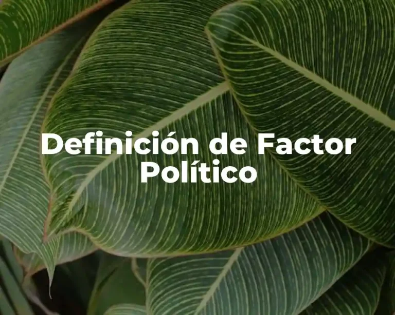 Definición de Factor Político
