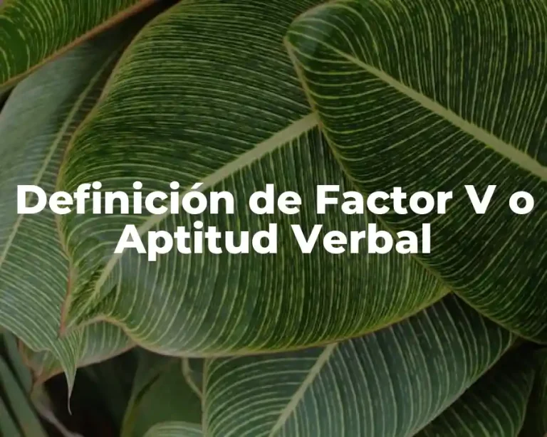 Definición de Factor V o Aptitud Verbal
