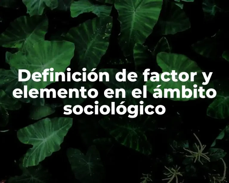 Definición de factor y elemento en el ámbito sociológico