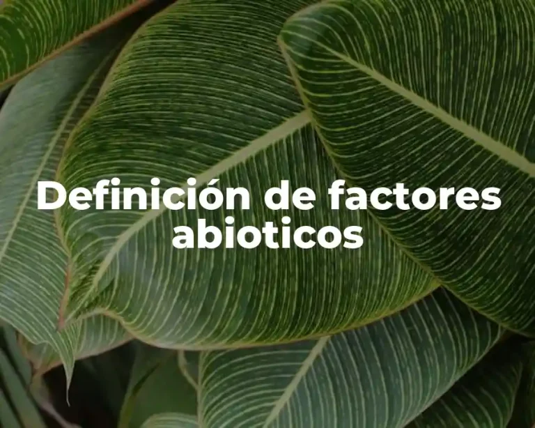 Definición de factores abioticos