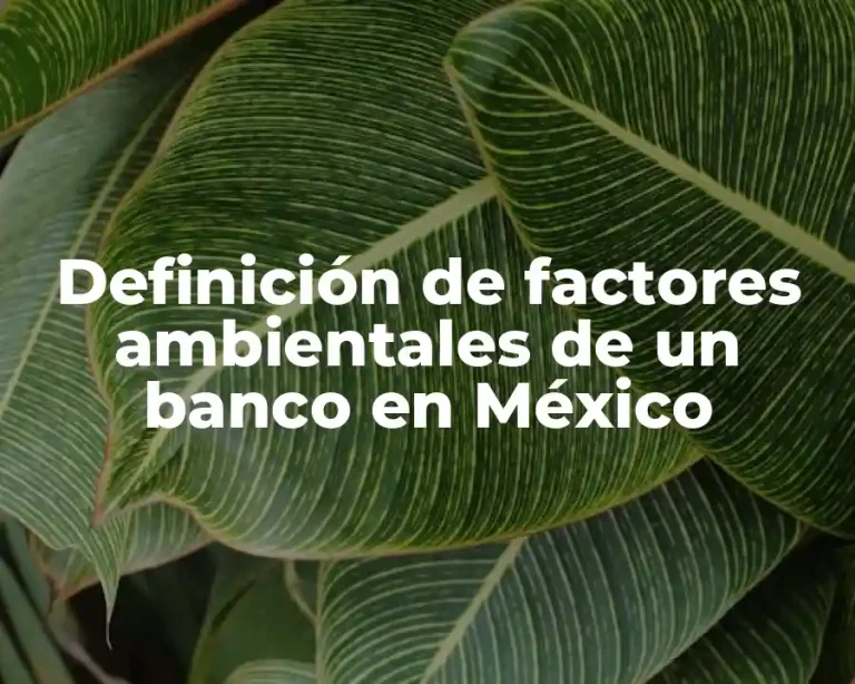 Definición de factores ambientales de un banco en México