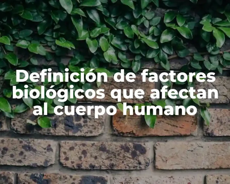 Definición de factores biológicos que afectan al cuerpo humano