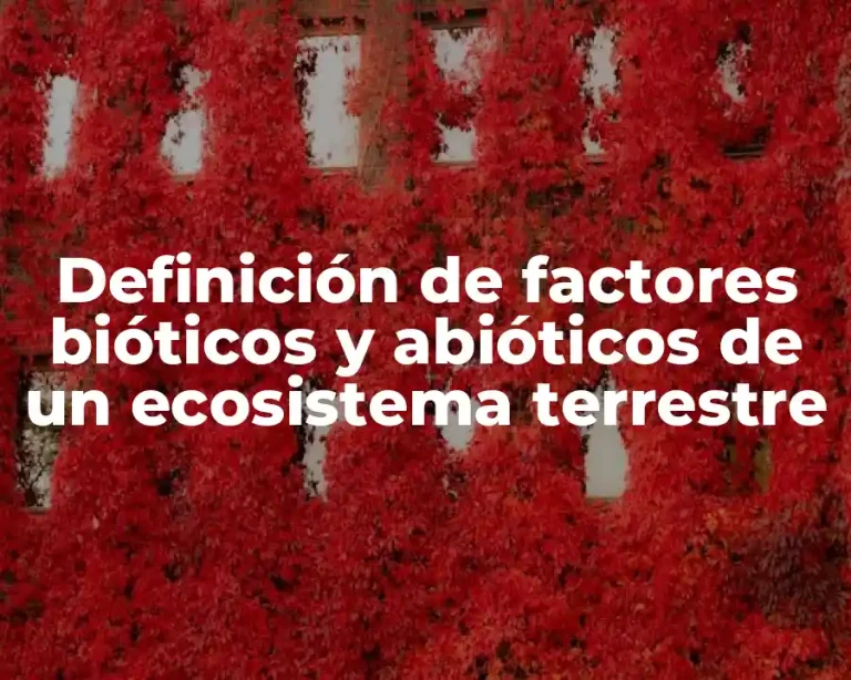 Definición de factores bióticos y abióticos de un ecosistema terrestre