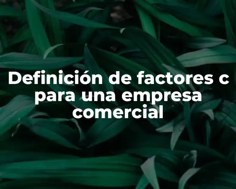 Definición de factores c para una empresa comercial
