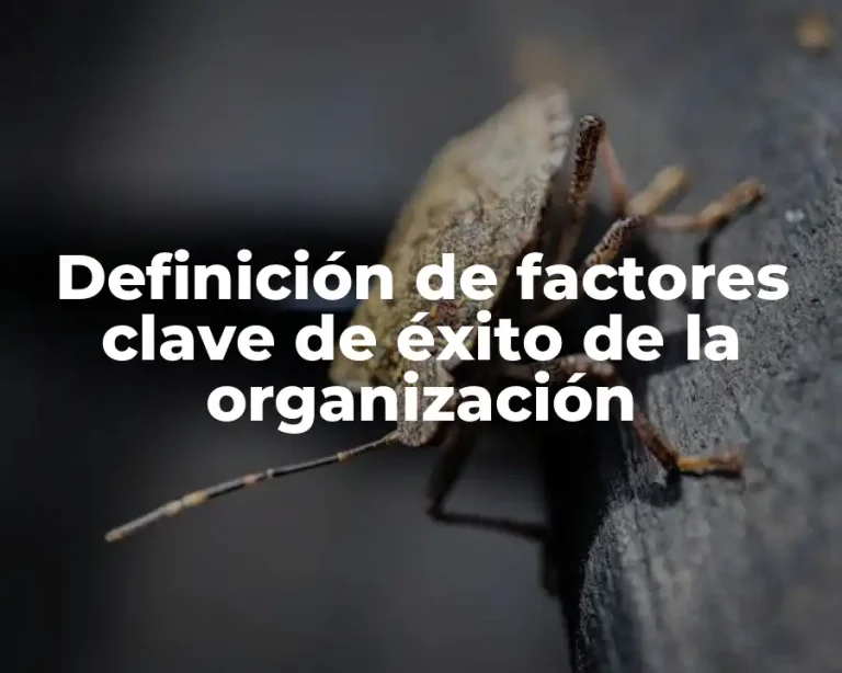 Definición de factores clave de éxito de la organización