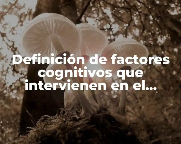 Definición de factores cognitivos que intervienen en el aprendizaje