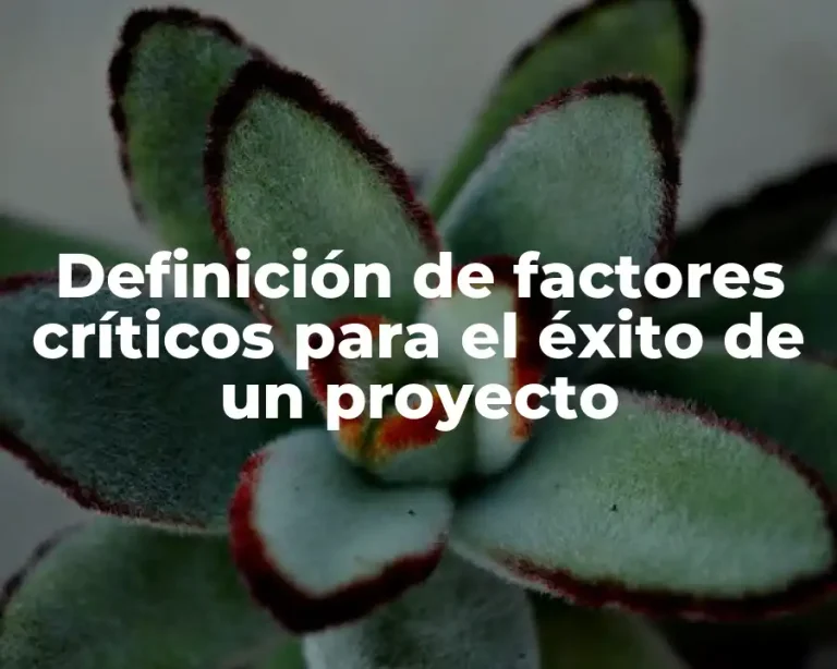 Definición de factores críticos para el éxito de un proyecto